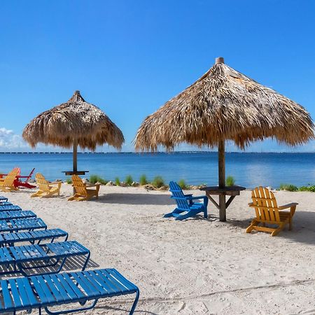 227-Wifi, New Paint, Amazing Views, Close To Bucs Stadium Tampa Exteriér fotografie