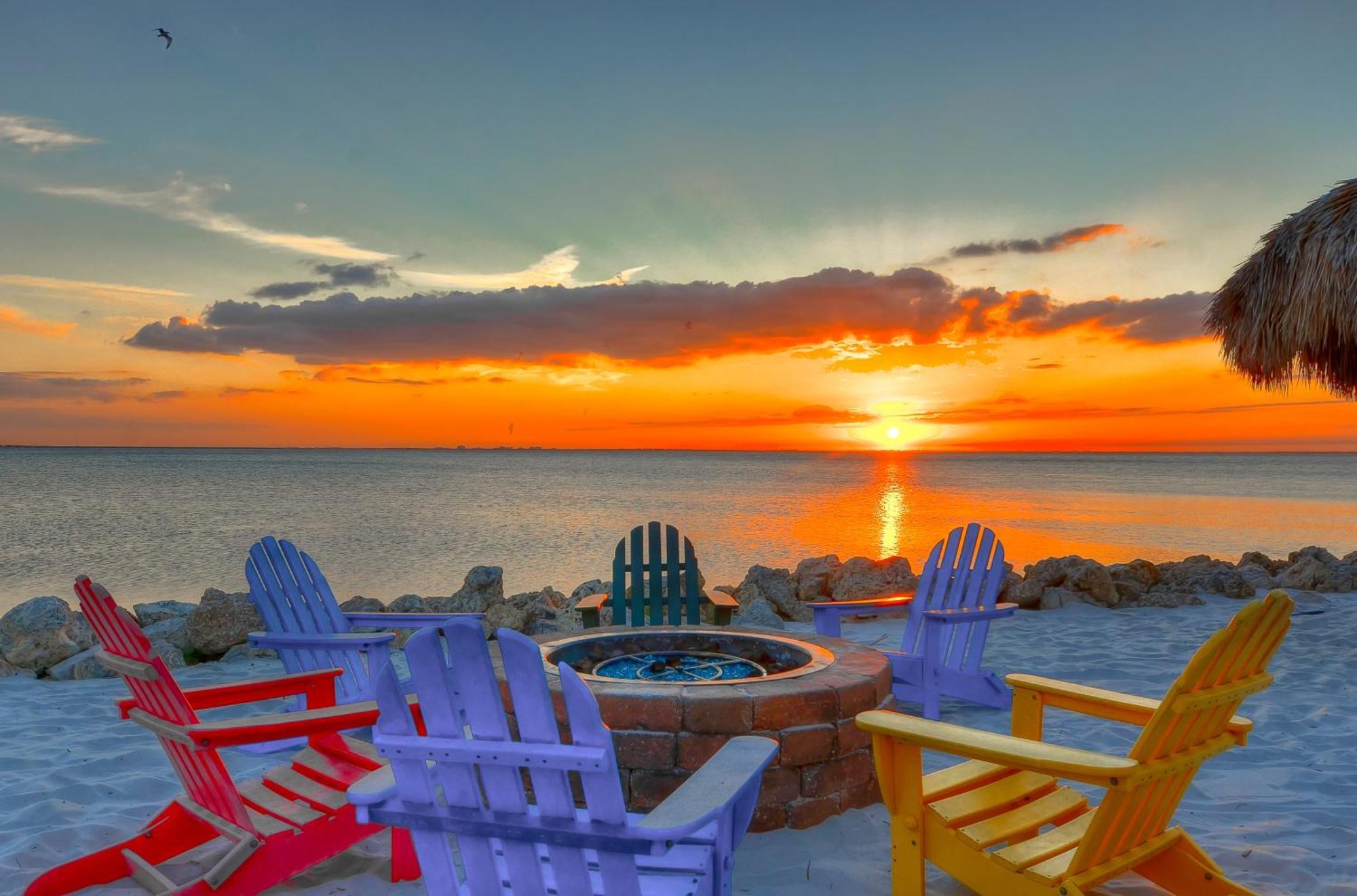 227-Wifi, New Paint, Amazing Views, Close To Bucs Stadium Tampa Exteriér fotografie